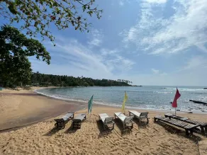 Surf Paradise Hotel  - Image 5