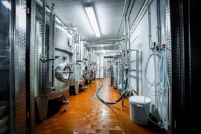 Brewery Gasthof Zwönitz, owner Dominik Naumann - Double room - Image 2