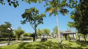 Sun & Sea Resort- Standard Unit 36 - Image 4