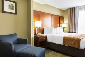 Comfort Suites, Lansing - Located 30-minute to Chicago Midway Int'l Airport - Image 5