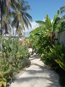 Villa Huruma - Image 5