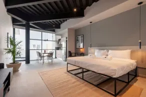 w* | Splendid Loft with Terrace near Polanco - Image 4
