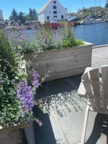 Gamlekaien - Image 3