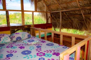 Romantic Cottages in Jamaican Hills w/ hiking trails and Fruit trees on property - Image 2