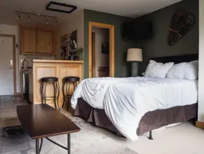Sun Valley Adventure Condo - Image 2