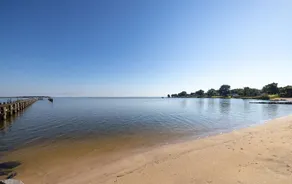 Solymar - Image 4