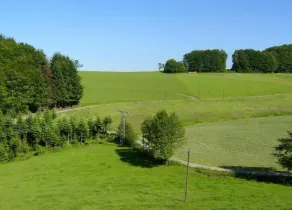 Cosy farmhouse apartment at the edge of the forest - Image 2