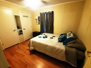 Cozy quiet home close to tourist attractions & airboating. Pet-friendly! - Image 5