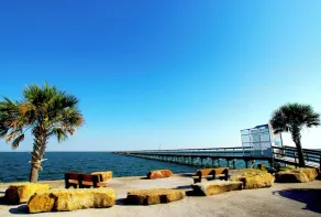 Reel Paradise - Image 4