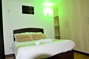 Cosy lovely 1 bedroom apartment in Ruaka Near UN Complex - Image 5