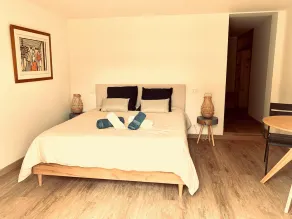 Chambre La Gravière with swimming pool -5mn from the beach - Image 4