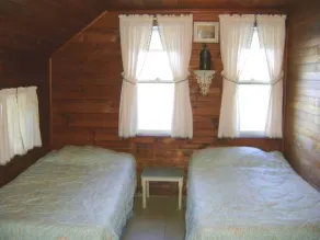 Ossipee Lake house, pet friendly - Image 5