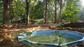 A wellness getaway in nature, for you & your pet ! - Image 4
