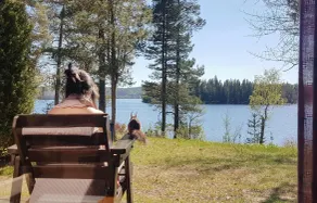 2 værelses smukt hjem i Aurskog - Image 4