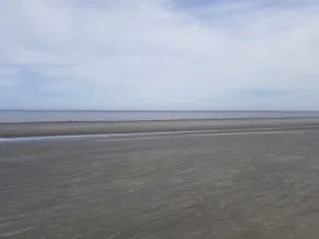 Maison au bord des lacs, pêche, rampes de bateau à proximité, parcs et minutes des plages - Image 5