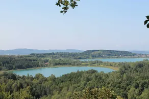 Studio  rénové au centre de Clairvaux-les-lacs - Image 4