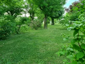 Electrified Camping Pitch - Image 2