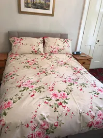 Garden Double Room with own door access and bathroom - Image 4