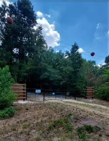 RV w/Lake Access - 4 acre Private Retreat - Image 5