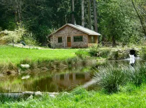 Forest Garden Cottage by the Ocean - Image 3