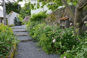 Bed and Breakfast i Vacker Trädgård 45 min fr Varberg, Borås och Göteborg - Image 3