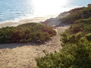 Carefully renovated, located in the very calm countryside with seaview - Image 5
