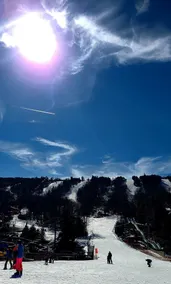 Ski-on Ski-off from Cozy Nest. 79 steps to mtn. Set kids free and enjoy coffee. - Image 2