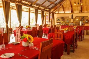Aruba Mara Camp & Safaris - Image 4