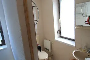Erholung im Ferienhaus Martina gern mit ihrem Haustier - Image 3