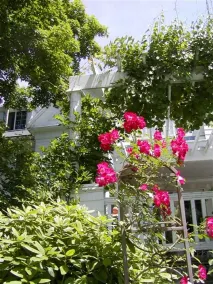 The Inn on the Horse Farm - Image 5