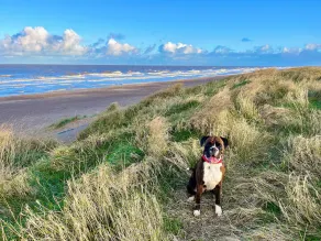 Dog-friendly 2-bed Bungalow by the beach in Trusthorpe, Lincs - Image 2