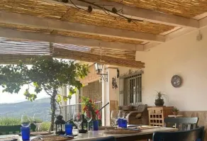 El Nispero Dulce - Image 5