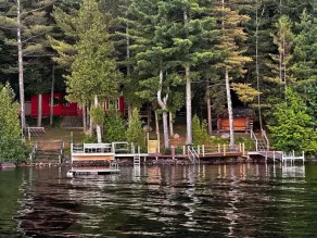 Direct waterfront overlooking forever wild forest on a hidden dead end street - Image 2