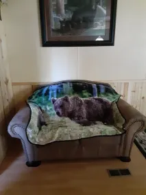 BILLY BEAR -3 BED 2 BATH wifi  3  roku tv,s  dvd players sleeps 4 - Image 3