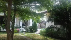 Bamboo Resort - Image 4