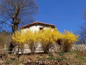 Antoine's Gîte Parco naturale regionale dei Pirenei dell'Ariège - Image 4