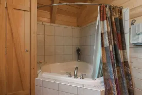 Montana Mountain Log-Lodge with lake views, lake access & mountain views - Image 3