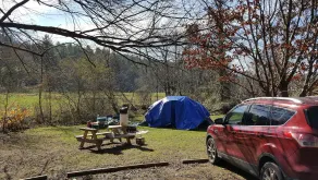 Campsite #3! Tent camping near Dupont State Forest! - Image 3
