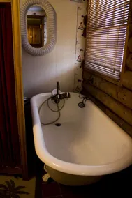Russian and South African room in cabin surrounded by state forest - Image 3