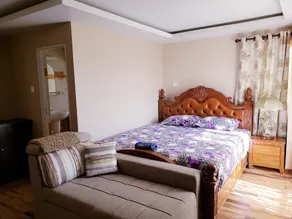 A Large brand new apartment, Kathmandu City - Image 4