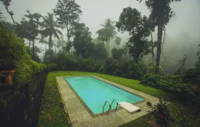 After The Rains,Wayanad - Image 5