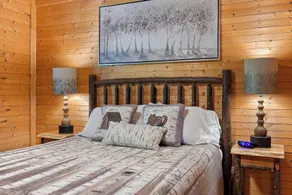 Cozy Mountain Getaway - Hiking, Waterfalls & Pond - Buck Mountain - Near Boone - Image 2