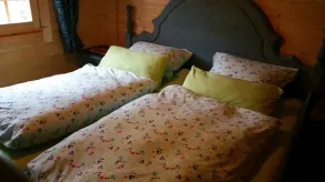 Haus Elsbeere - pure nature in the heart of the palatinate forest  - Image 4