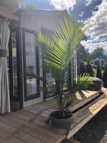 Glamping at the Cabana! - Image 5