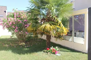 La Chouette Béarnaise - Image 4