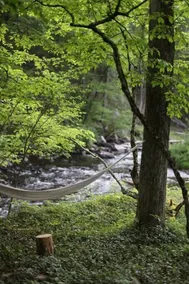 Private Riverfront Catskills Retreat w/ Hot Tub - Image 2