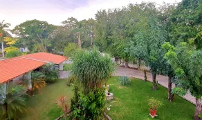 El Rincón de Camila - Image 4