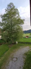 Appartement am Weißbach - Urlaub im Pfrontener Tal - Image 5