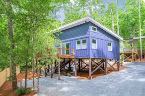 New Galaxy Tree House - Image 5
