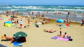 Le Mieukerien, 150 m fra strandene og 15 minutter fra den afrikanske reserve - Image 4